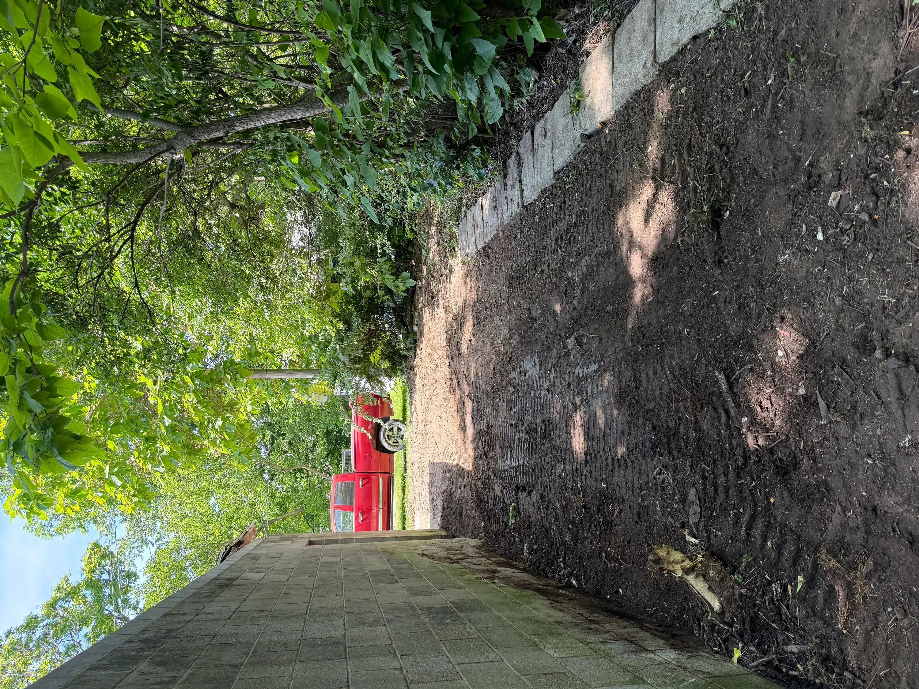 Clean concrete driveway with red door and lush green foliage overhead