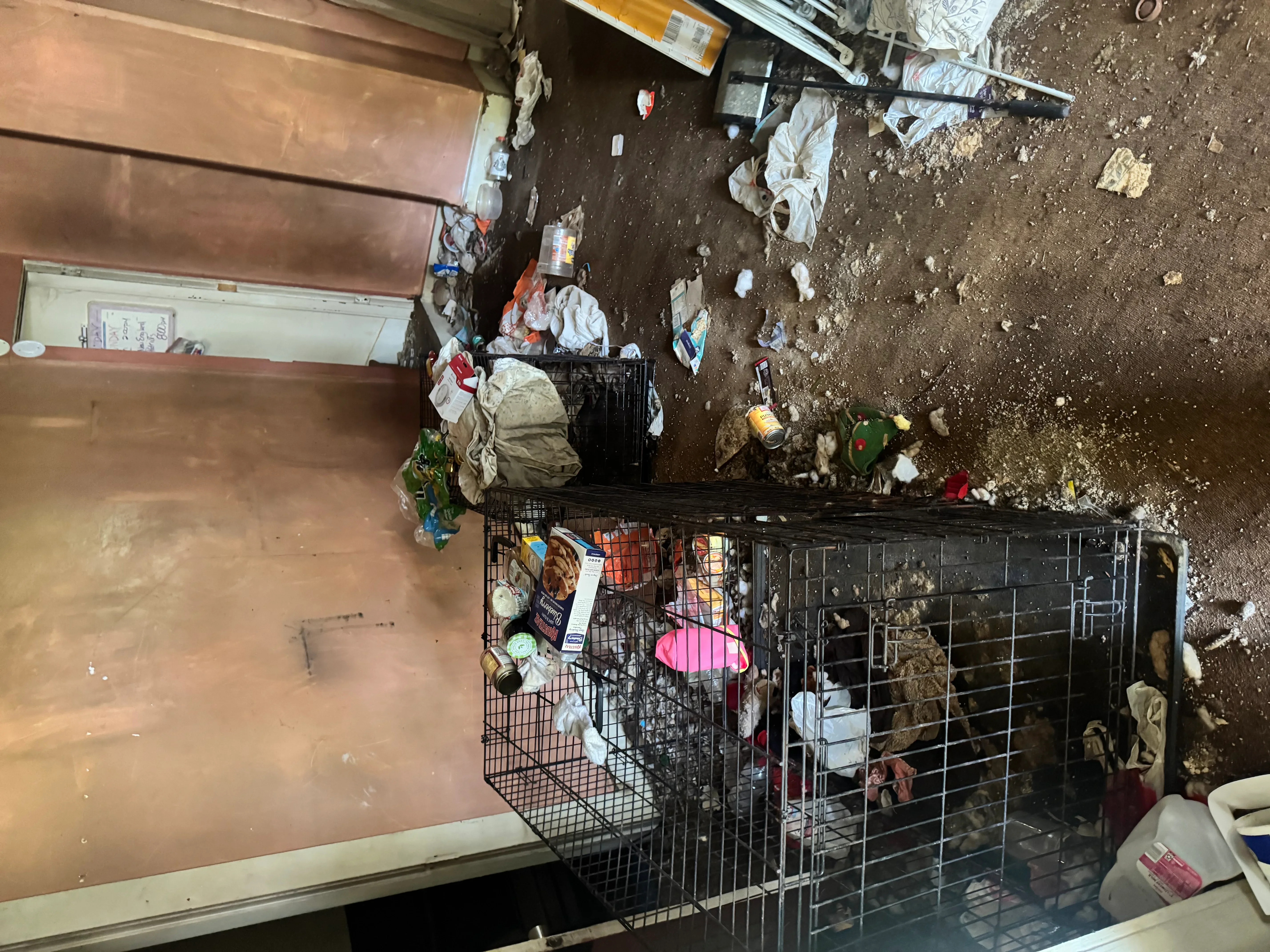 Interior demolition debris removal with dumpster and cleared floor space
