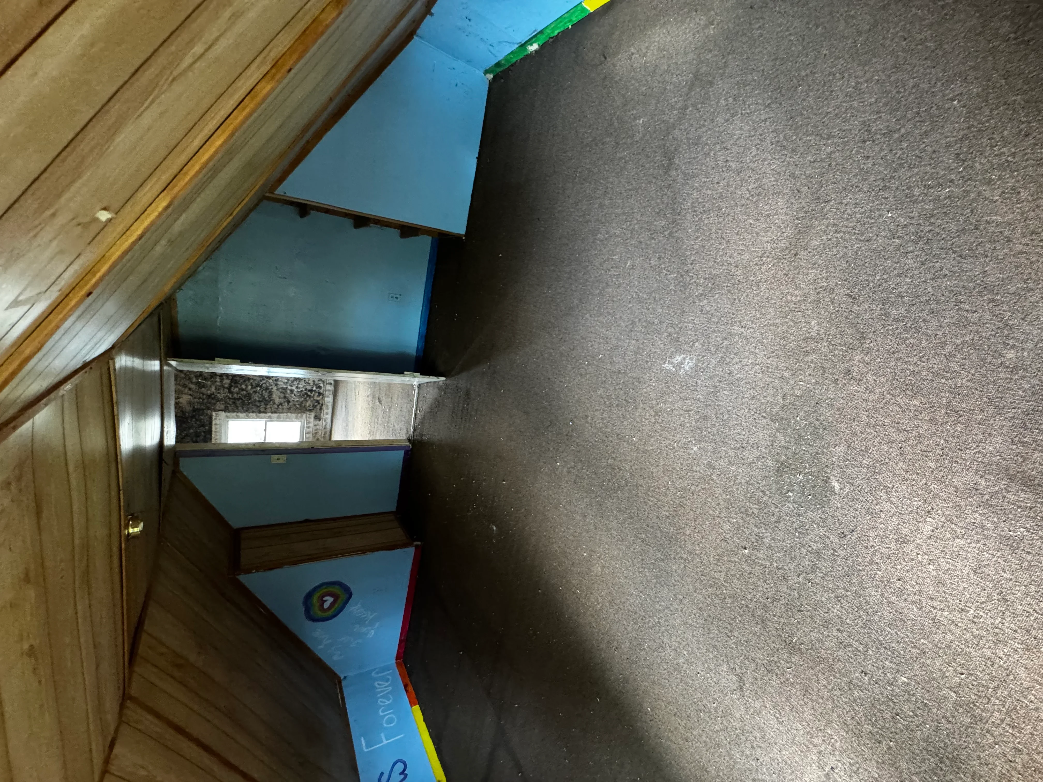 Newly installed gray carpet in basement with wood-paneled walls and blue painted ceiling